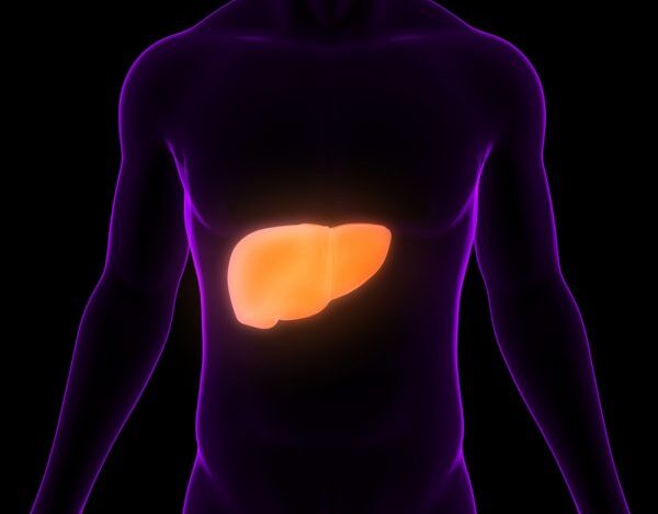 Os primeiros sinais e sintomas de problemas no fígado são a dor abdominal do lado direito e a barriga inchada. Além desses, também podem ocorrer os