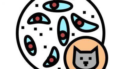 Causada pelo parasita Toxoplasma gondii (T. gondii), a toxoplasmose também é popularmente conhecida como a "doença do gato", devido a