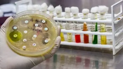 MSD e União Química juntas contra a resistência bacteriana 