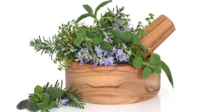 Horta medicinal é benéfica para sua saúde e bem-estar