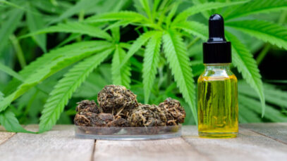 Congressos gratuitos fazem um raio-X da cannabis medicinal
