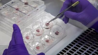 L’Oréal cria córnea reconstruída para substituir testes em animais