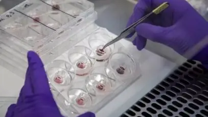 L’Oréal cria córnea reconstruída para substituir testes em animais