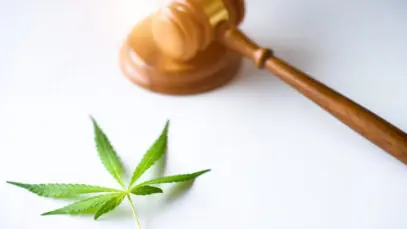 Cannabis na farmácia magistral tem mais um avanço