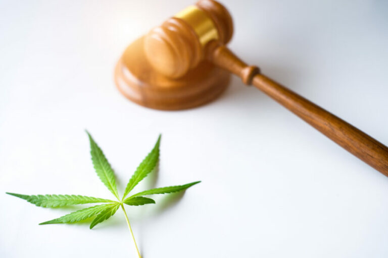 Cannabis na farmácia magistral tem mais um avanço