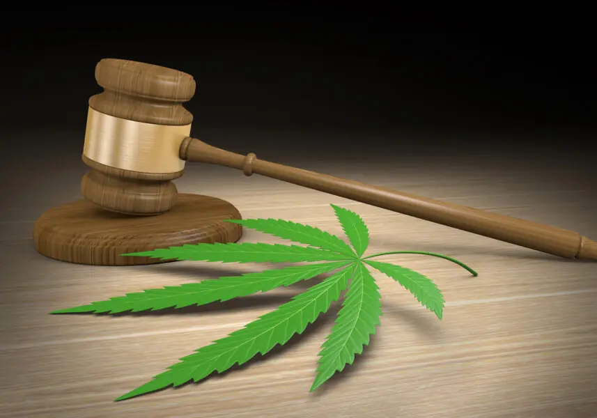 Justiça dá novo aval para cannabis na farmácia de manipulação farmácia de manipulação