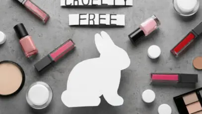 Goiânia proíbe comercialização de cosméticos testados em animais