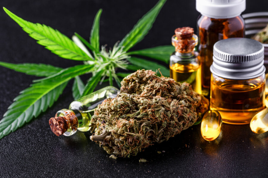 cannabis medicinal