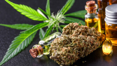 Mercado de cannabis medicinal atrai executivos do canal farma