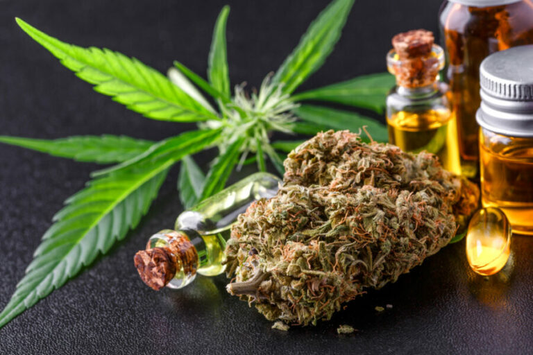 cannabis medicinal