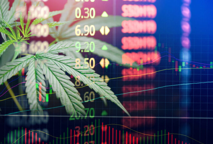 mercado de cannabis