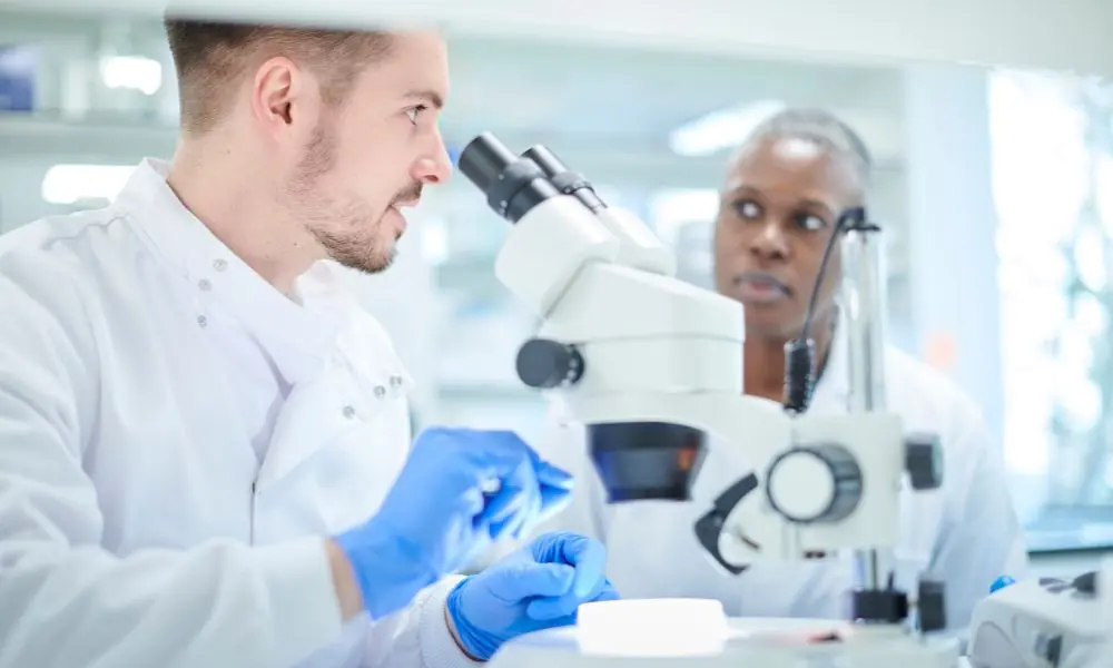 biofarmacêuticas mais produtivas