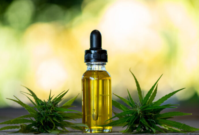 cannabis medicinal