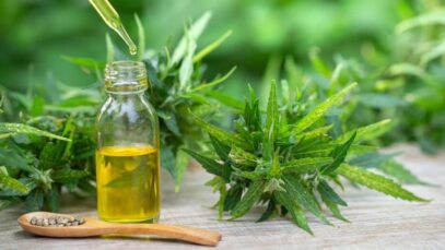 Comissão debate regulamentação da produção de cannabis