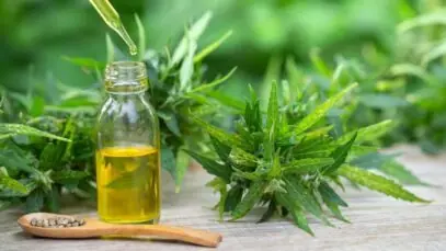 cannabis