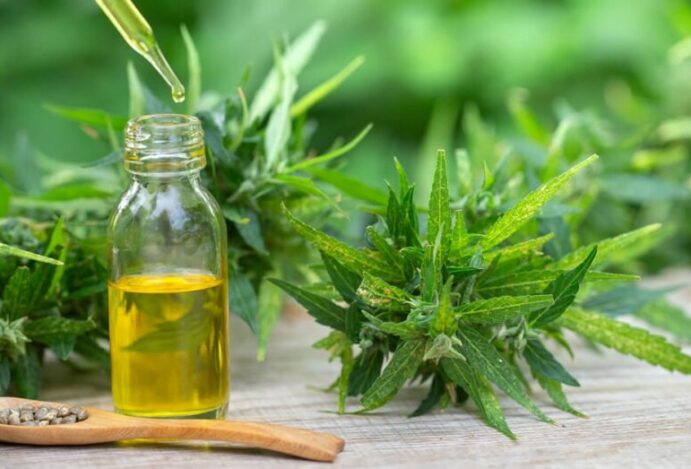 cannabis