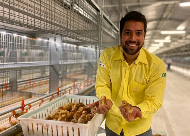 ovos em farmácia