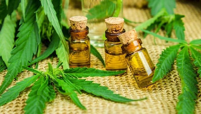cannabis