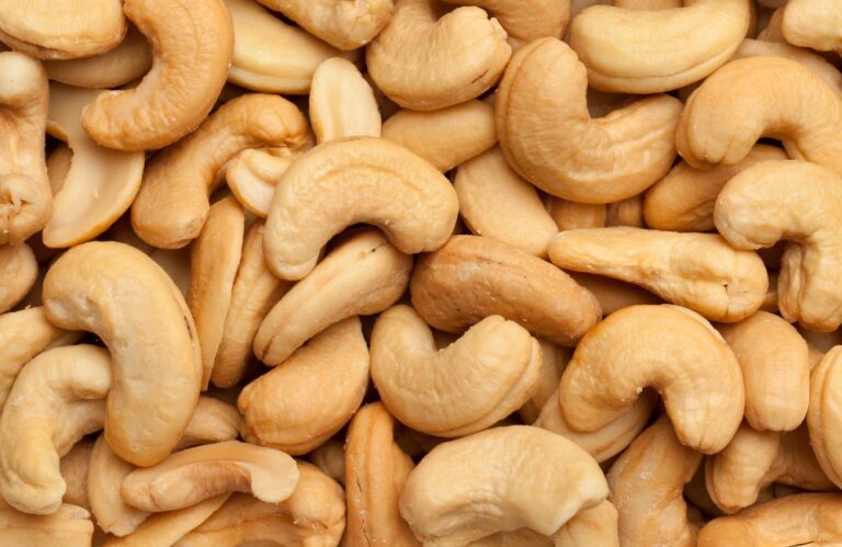 Nutrição e sabor: coloque a castanha-de-caju na sua dieta