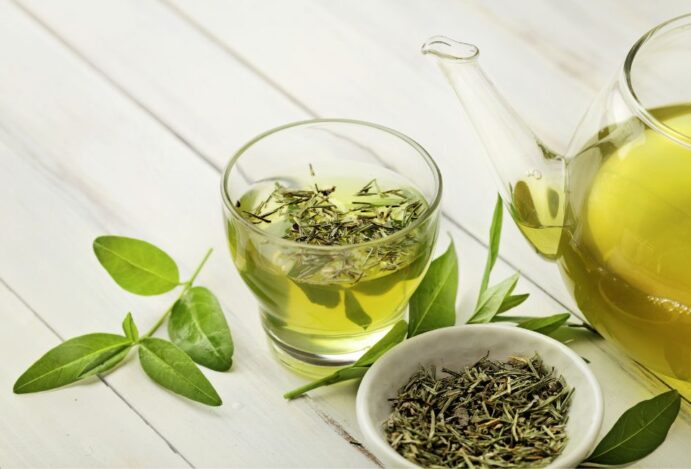 chá de espinheira-santa