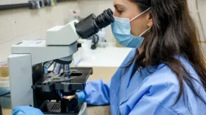 Pesquisa dará origem à vacina inédita contra malária vivax