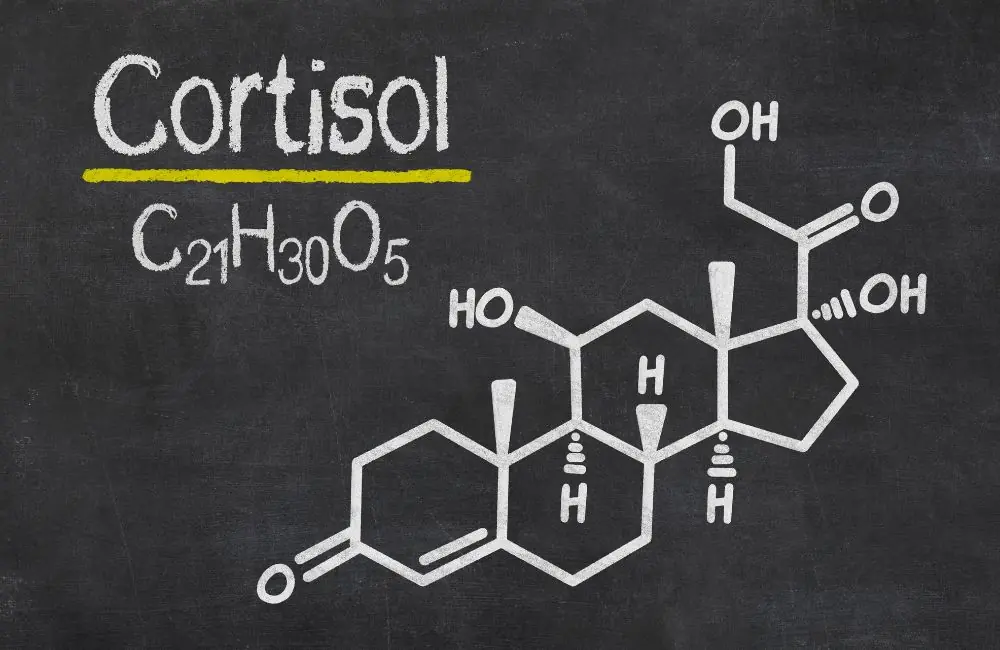 Cortisol conheça mais sobre o hormônio “do estresse” Cortisol