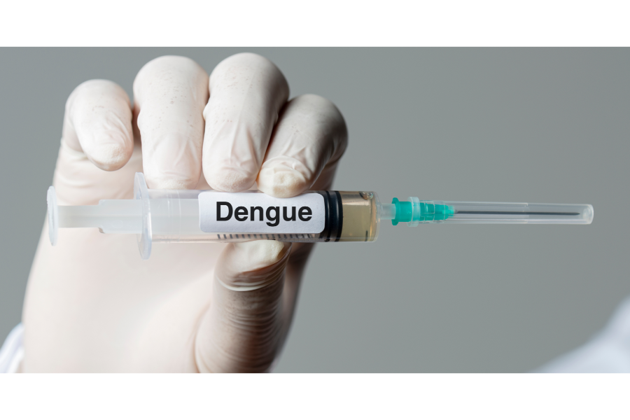 vacina contra a dengue