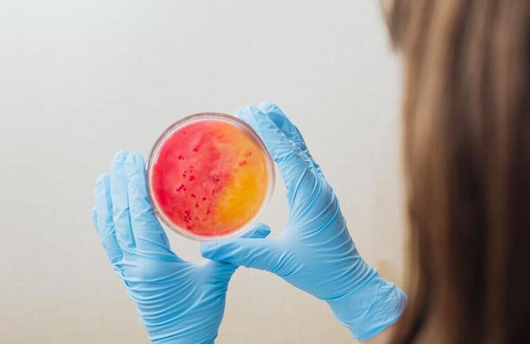 Quais os riscos de uma infecção bacteriana contraída pela Madonna?