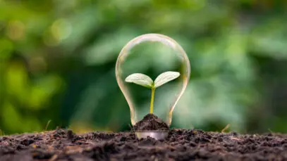Clamed amplia energia renovável nas farmácias