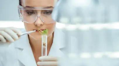 Indústria farmacêutica do Brasil amplia liderança regional