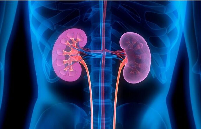 Brasil ganha medicamento para diabéticos tipo 2 com DRC