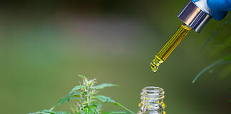 Cannabis ganha espaço exclusivo no Panorama Farmacêutico