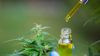 Cannabis ganha espaço exclusivo no portal