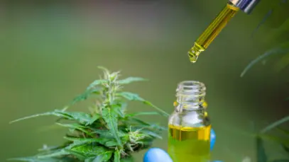 Cannabis ganha espaço exclusivo no Panorama Farmacêutico
