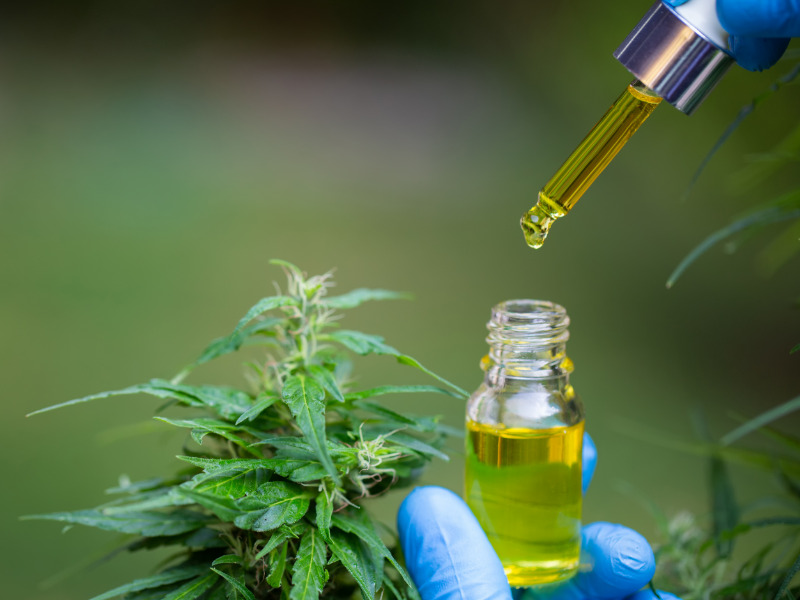 Cannabis ganha espaço exclusivo no Panorama Farmacêutico 