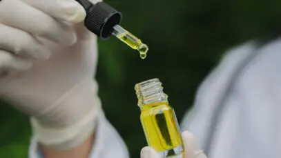 Indústria de cannabis