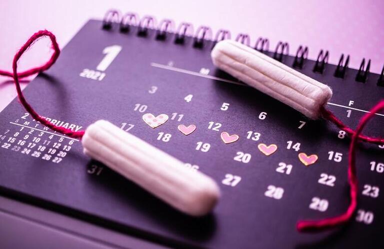 O ciclo menstrual e suas fases