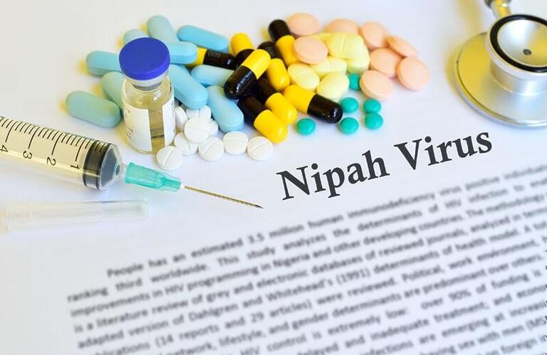 Tudo o que você precisa saber sobre o vírus Nipah
