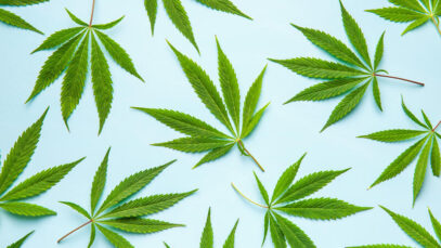 Cannabis medicinal aguarda regulamentação no SUS há 9 meses