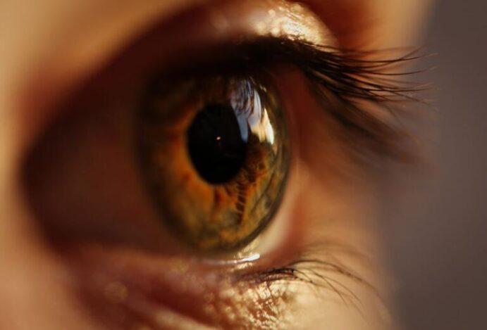 celulite ocular
