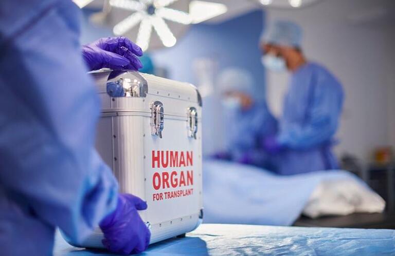 Transplante de órgãos: mitos e verdades