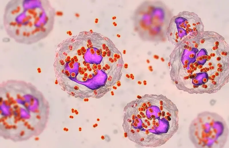 Infecções sexualmente transmissíveis