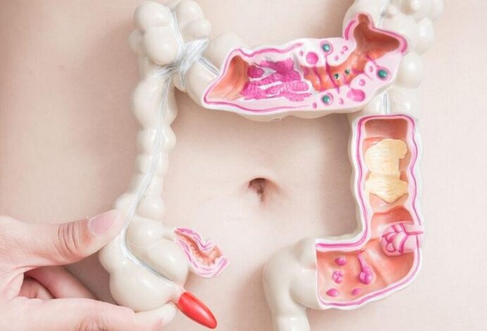 flora intestinal