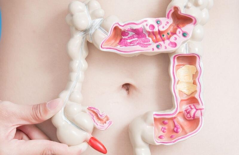 flora intestinal