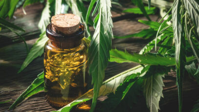 Brasil ganha novos produtos à base de cannabis