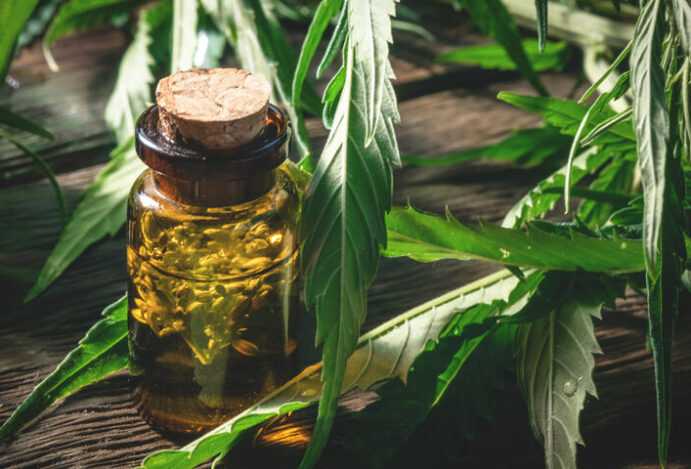 Produtos à base de Cannabis