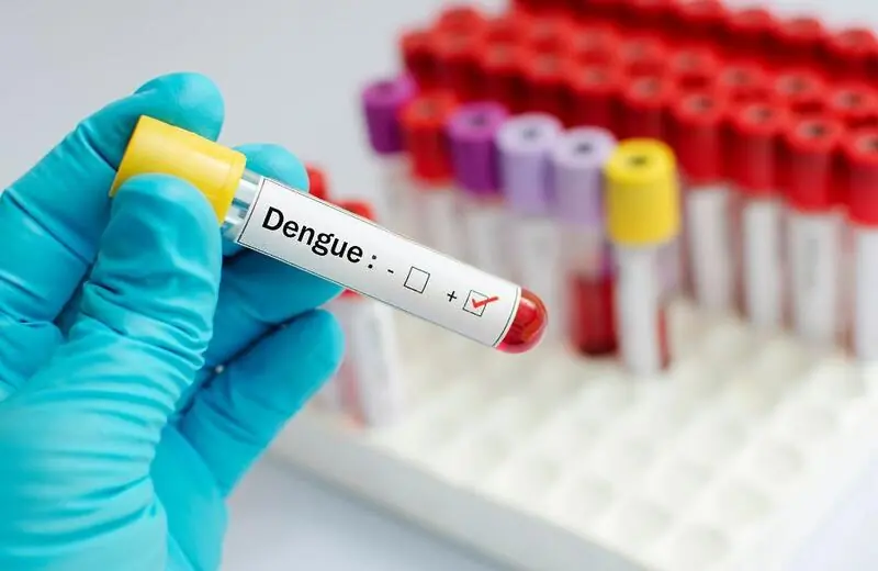 Design sem nome – 2023-11-03T123640.980 Dengue