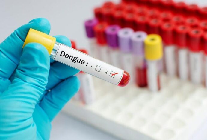 sorotipos da dengue