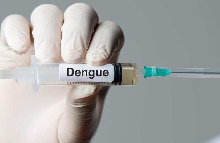 Incorporação de vacina contra a dengue ao SUS deve sair ainda este ano