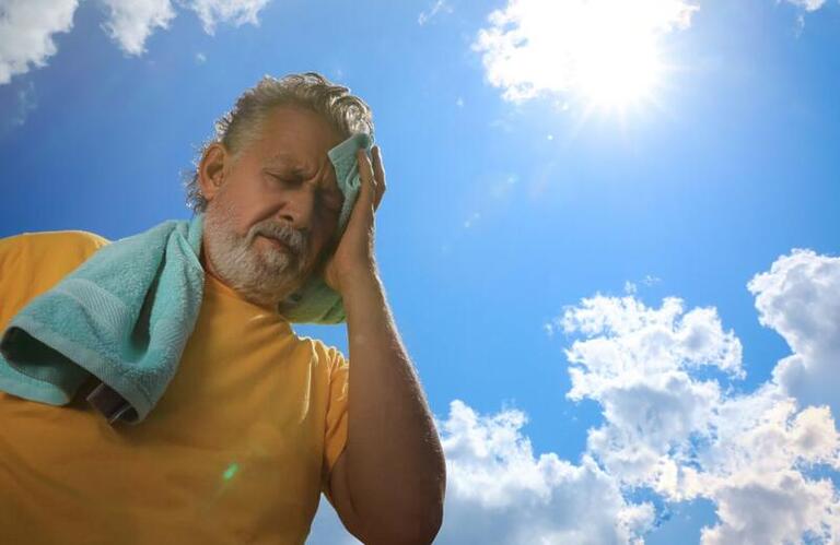 Ondas de calor afetam a saúde humana, de plantas e animais